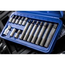 Machine Mart 15 Piece Hex Bit Set