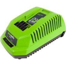 Greenworks 40V Greenworks GWG40C 40V Battery Charger
