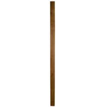 Forest Forest 210x10x10cm UC4 Incised Brown Fence Post (5 Pack)