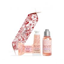 L'Occitane - Kirschblüte Geschenkbonbon