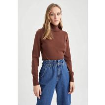 Damen Regular Fit Pullover mit Rollkragen