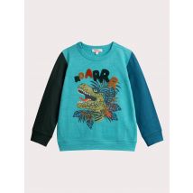 T-shirt tricolore animation dinosaure pour garçon - 10 Ans - Du Pareil Au Même