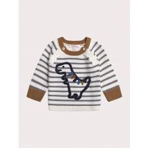 Pull dinosaure pour bébé garçon - 3 Mois/6 Mois - Du Pareil Au Même