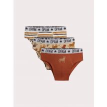 Lotto Di 3 Slip A Leopardo Per Bambini - 4 Anni - Du Pareil Au Même