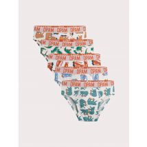 Lotto Di 5 Slip Animali Per Bambini - 10 Anni - Du Pareil Au Même