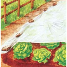 TELO ANTIGELO TNT PROTEZIONE PIANTE STARS BIANCO GR/MQ 17 L.MT 250 H.CM 400