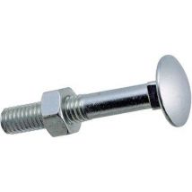 BULLONE TTDQ - CLASSE 4.8 ZINCATO MM 10X160 CF=PZ 50- 1 confezioni