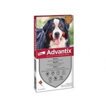 ANTIPARASSITARIO ADVANTIX PER CANI OLTRE KG.40 in conf. da 6 pipette SPOTON ADVANTIX