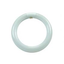 CIRCOLINE TRIFOSFORO FLUORESCENTI T9 G10Q- - 32w - 6500 °K fredda - 2000 lm - 305x30 - 6 pezzi AIRAM