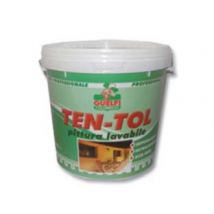 LAVABILE TENTOL PER INTERNI ED ESTERNI lt.14 bianca GUELFI