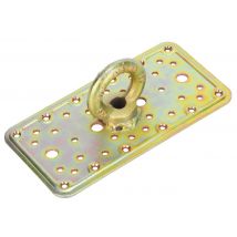 PIASTRA 862 CON OCCHIOLO ACC TROP 100X3,0X200 MM- ALDEGHI LUIGI SPA- 4,0 pz