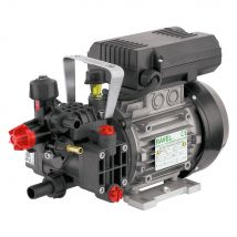 ELETTROPOMPA IRRORATRICE 'DUE EM 32171' Hp 1,2 - ANNOVI REVERBERI