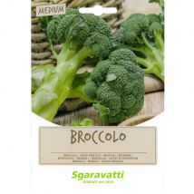 SEMI PER FAVE broccoletto aprilatico - gr 100 - SGARAVATTI