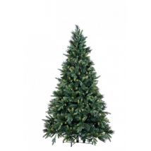 Albero Tauri H240-1686Rami