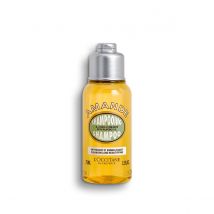 L'Occitane Champú con Aceite de Almendra 75ml