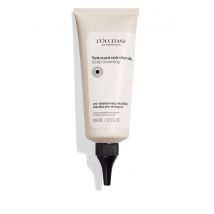 L'Occitane Pre Champú Micelar 100ml