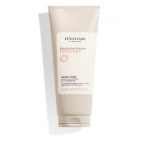 L'Occitane Mascarilla Reparadora Intensa Aromacología 200 ml