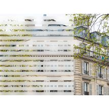 Película reposicionable con tiras esmeriladas