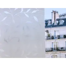 Película reposicionable sobre fondo esmerilado con patrón de hojas