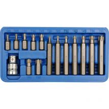 Bitsatz, Torx, T20-T55, 15-tlg.