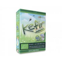 Biostarter Per Kefir 4x5g