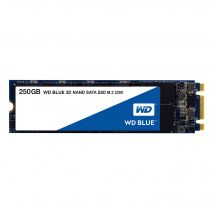 Western Digital Blue 3D 250 Go M.2
