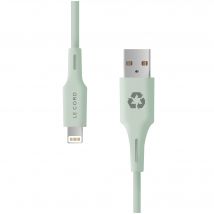 Câble Lightning iPhone Pale Pine