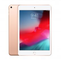 iPad Mini 5e génération 7,9 (2019), 256 Go - WiFi - Or