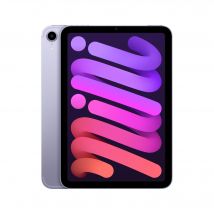 iPad Mini 6e génération 8,3 (2021), 256 Go - WiFi + Cellular 5G - Mauve