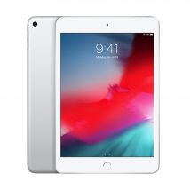 iPad Mini 5e génération 7,9 (2019), 256 Go - WiFi - Argent