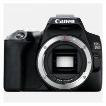 Appareil photo Reflex CANON 250D - Boitier nu, Noir
