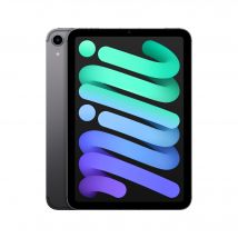 iPad Mini 6e génération 8,3 (2021), 64 Go - WiFi + Cellular 5G - Gris sidéral