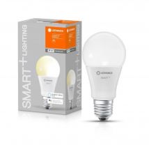 Bombilla LEDVANCE BTE1 Smart+ WIFI STANDARD DIMMED 60W E27 VARIABLE POWER - Nuevo