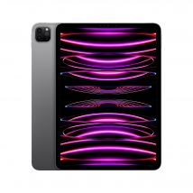 iPad Pro 4e génération 11 Puce M2 (2022), 2 To - WiFi - Gris sidéral