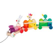 Janod Zigolos monivärinen vetojuna