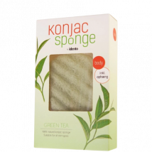Idento Konjac-sieni