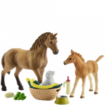 Schleich Horse Club Sarah's Care of Baby Animals - 42432