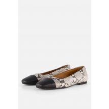Linea Zeta Snake Ballerina's zwart Leer