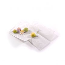 White 10"x12" Film Front Bags