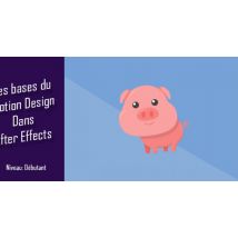 Les bases de l'animation avec After Effects
