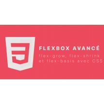 Flexbox Avancé : flex-grow, flex-shrink et flex-basis