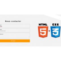 Comment réaliser un champ de formulaire avec label toujours visible ?