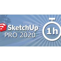 SketchUp Pro 2020 en 1H