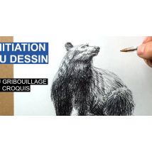 Initiation au dessin : Du gribouillage au croquis