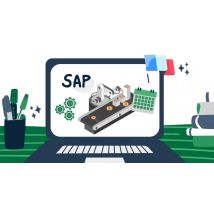 Formation SAP S4/HANA PPDS Embedded : Guide de configuration