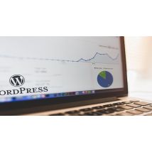 Formation Référencement SEO WordPress : Objectif 1ère Page Google