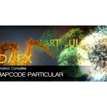 Formation complète Trapcode Particular