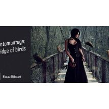 Photomontage : Bridge of birds