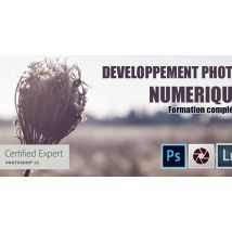 Apprendre le Développement Photo Numérique