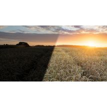 Comment développer une photo de coucher de soleil ?